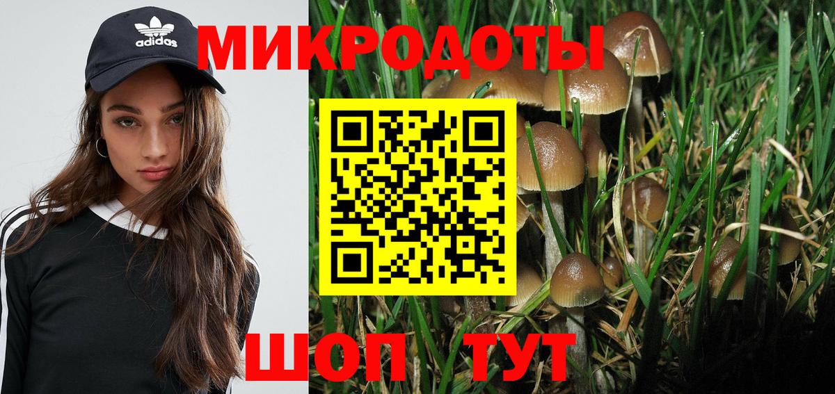 Псилоцибиновые грибы прущие грибы Звенигород